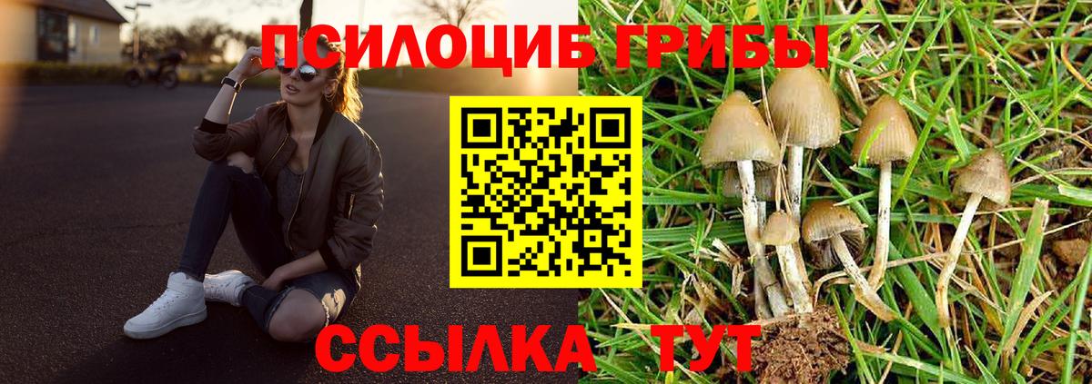 Галлюциногенные грибы Psilocybine cubensis Оренбург